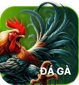 đá gà 32win33